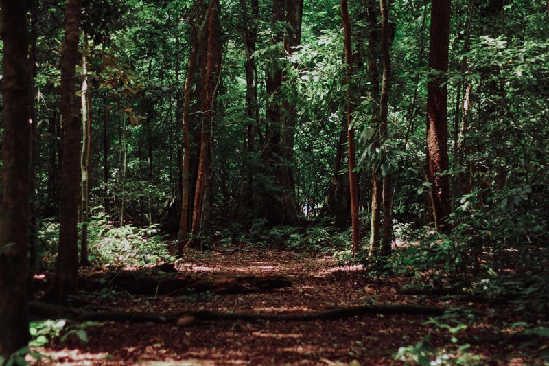 Clint Smith TEDTalk The Dangers of Silence