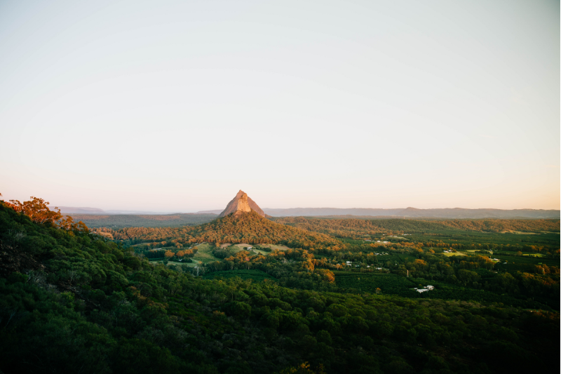 Of Kin Australia 2022 election voting resources