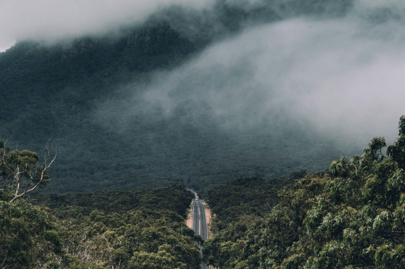 Road cutting through wilderness as the header for Kylie Lewis Certified Dare To Lead facilitator speaking with Pru Chapman of Owners Collective on her One Wild Ride podcast