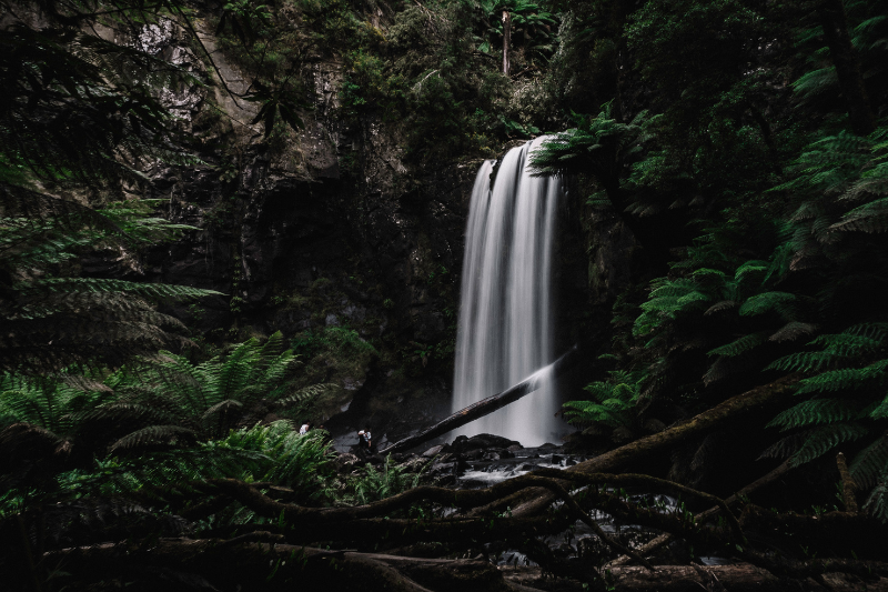 Australian waterfall image from Unsplash for blog post article about the Seven bravest words from Kelly Corrigan's TEDTalk