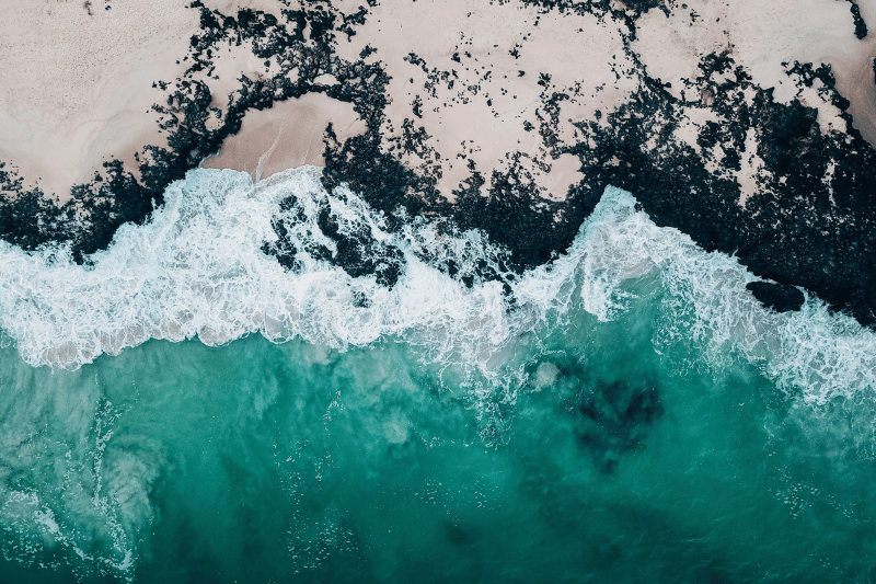 Looking down on aqua waves crashing into a sandy, seaweed shortline, representing the communication meeting rhythms and flows.