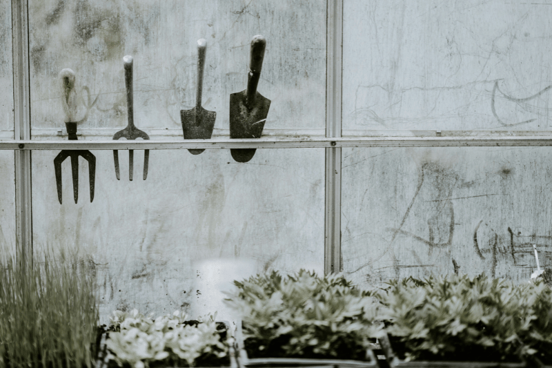The inside window of a garden shed, lined with small garden tools to represent Rumble Tools for daring leaders from Dare to Lead Brené Brown